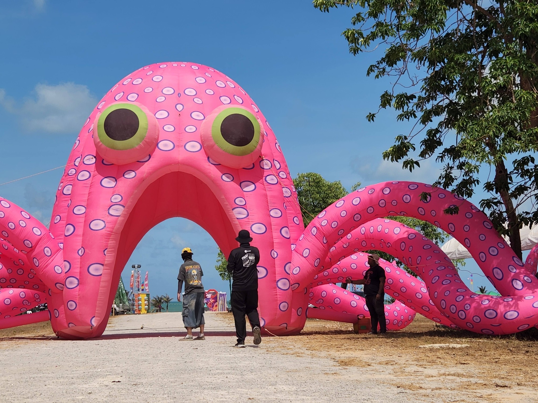 Octopus 2026